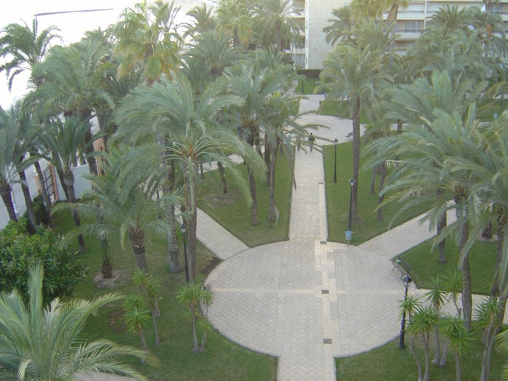 Palmeral De Torrevieja Exterior photo