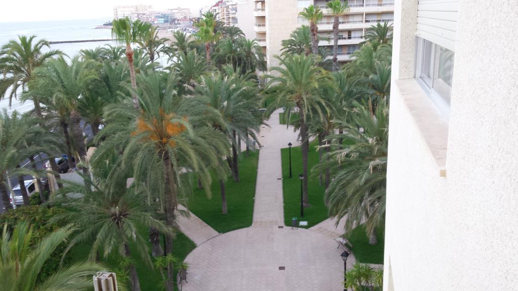 Palmeral De Torrevieja Exterior photo