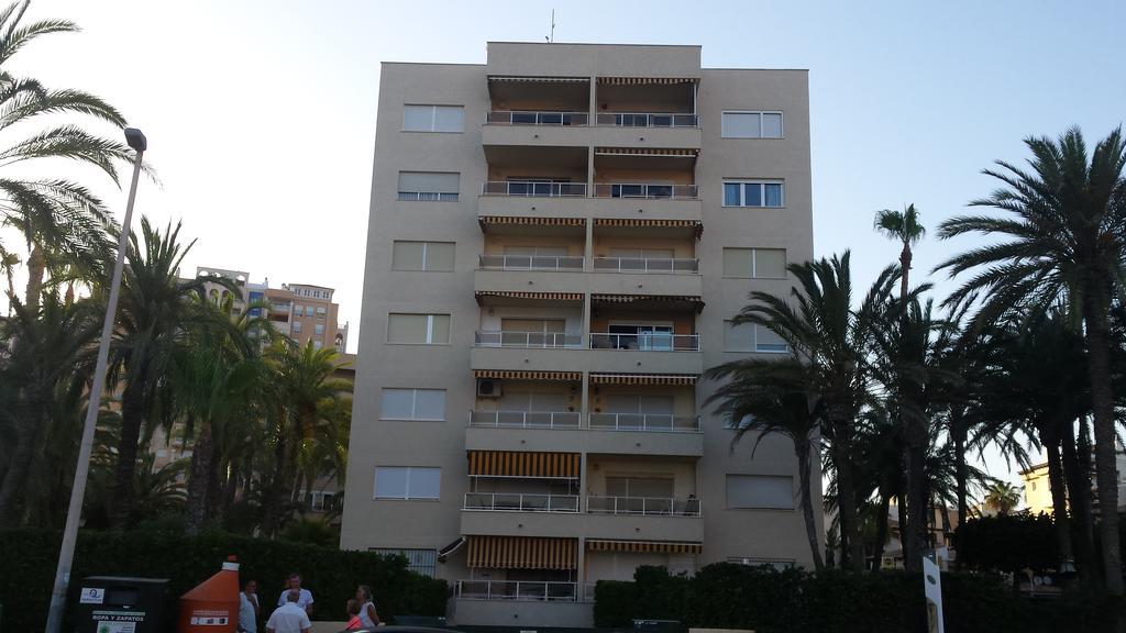 Palmeral De Torrevieja Exterior photo