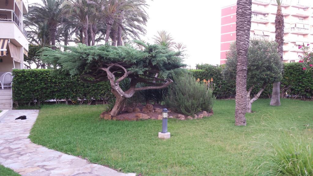 Palmeral De Torrevieja Exterior photo