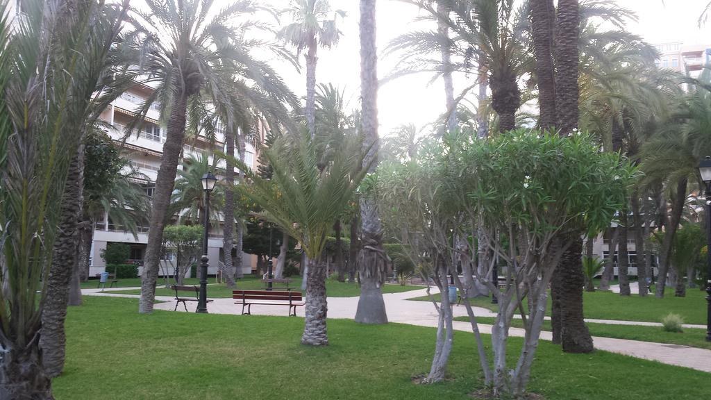 Palmeral De Torrevieja Exterior photo